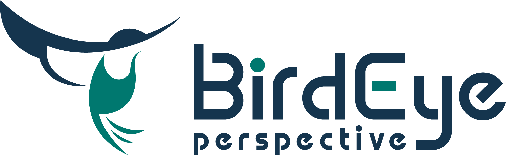 BirdEye Perspective